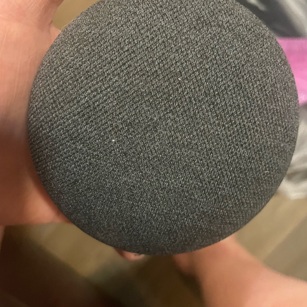 Google nest speaker